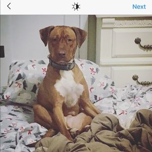 Meet your Posher, Heidi